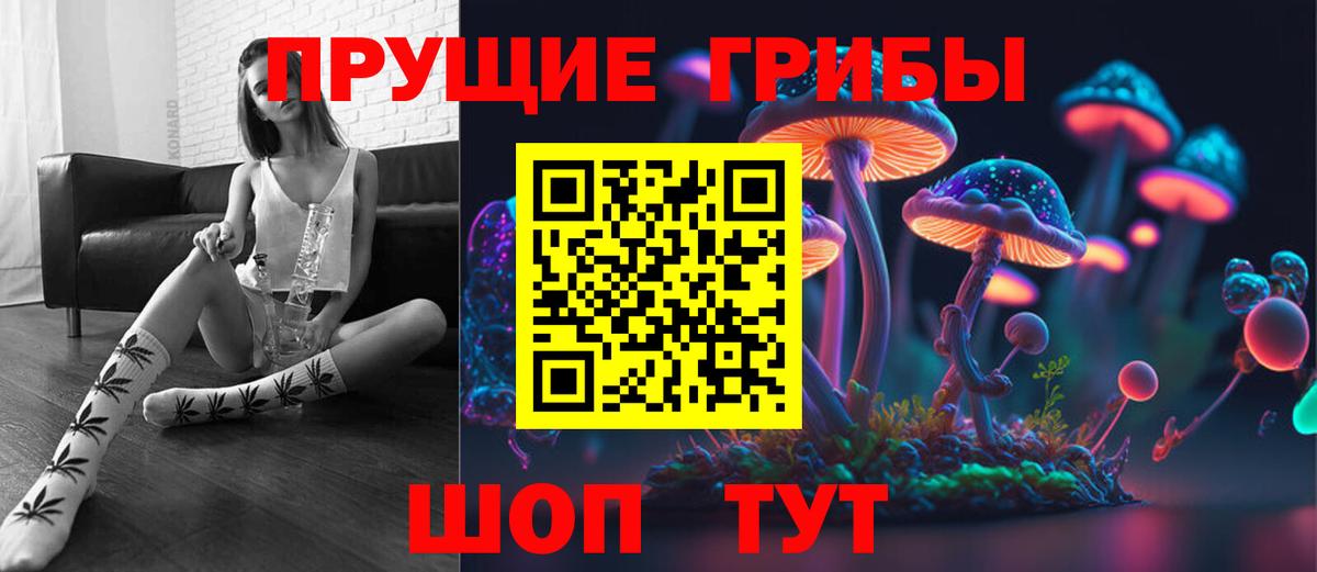 Галлюциногенные грибы Psilocybine cubensis  Вход с VPN  Братск 